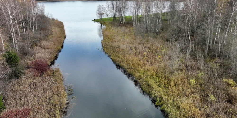 Прогноз погоды в Латвии на среду: серое небо и дожди до +10 градусов