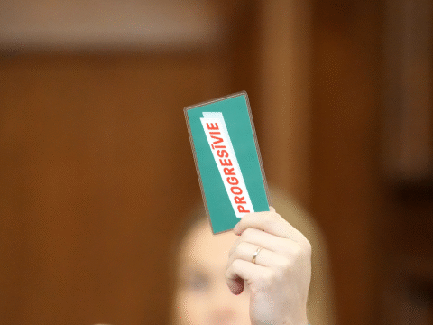 «Прогрессивные» не намерены покидать правительство, нацелены на принятие бюджета