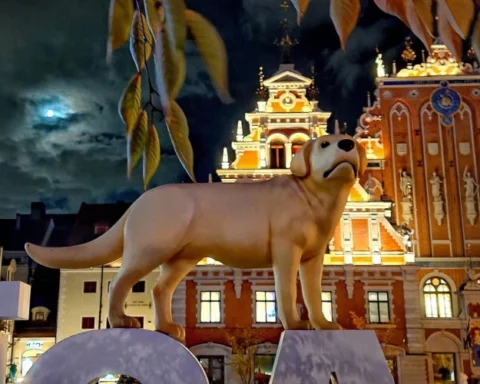 Рига выбирает место для героев мультфильма «Поток»: участники голосования определят локацию