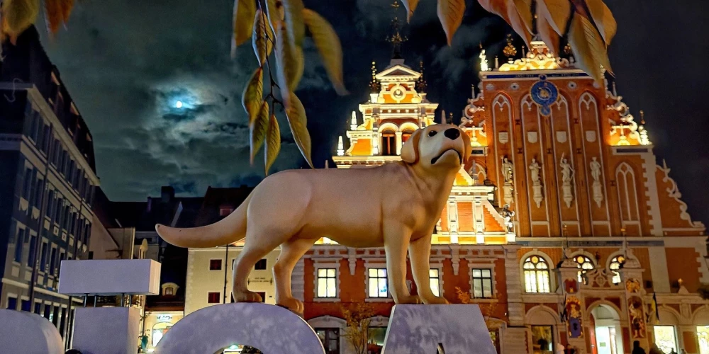 Рига выбирает место для героев мультфильма «Поток»: участники голосования определят локацию