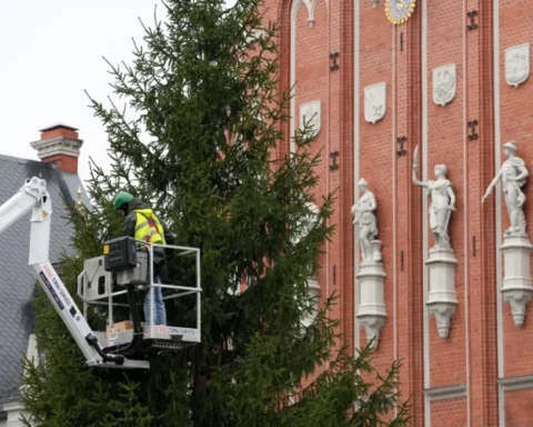 Рижан пригласили на зажжение главных елок столицы и подсветку фасада Домского собора