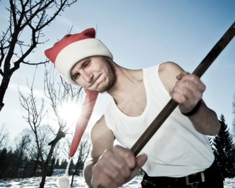 Рижан призывают сохранить ели вокруг столицы в условиях стратегии управления лесами