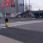 Рижане оценили новый пешеходный переход: 56% выбрали его вместо туннеля