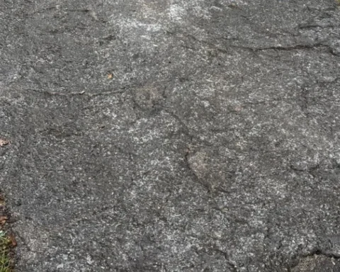 Рижане жалуются на опасные условия на дорогах из-за ледяного покрова