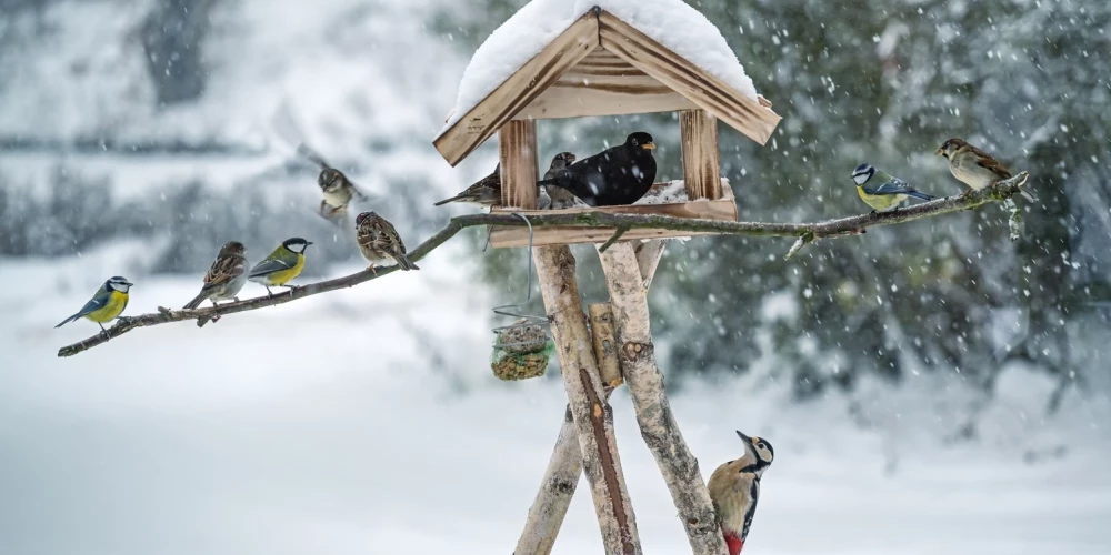 Рынок жилья Латвии восстанавливается: растет интерес к недвижимости в регионах