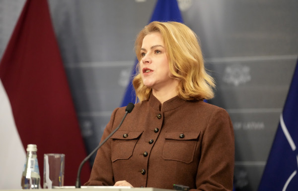 Силиня обещает ответ "зеленым крестьянам" за выход из Стамбульской конвенции