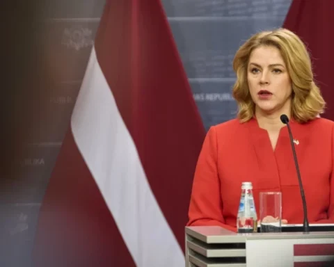 Силиня предлагает передать вопрос о Стамбульской конвенции Сейму нового созыва