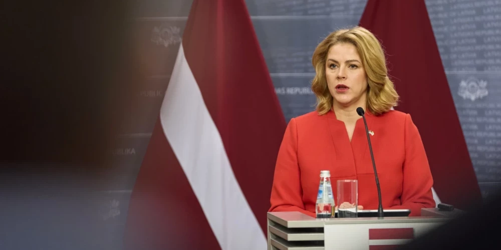 Силиня предлагает передать вопрос о Стамбульской конвенции Сейму нового созыва