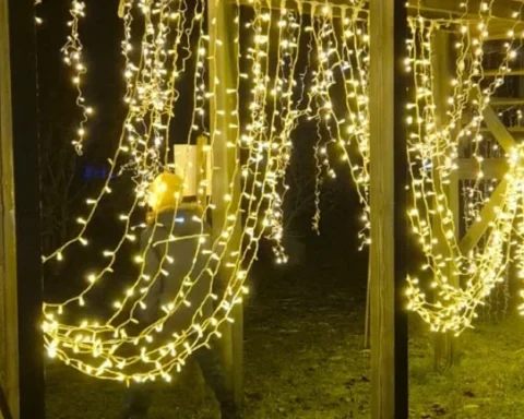 Сиреневый сад в Добеле превратился в зимнюю световую сказку с бесплатным входом