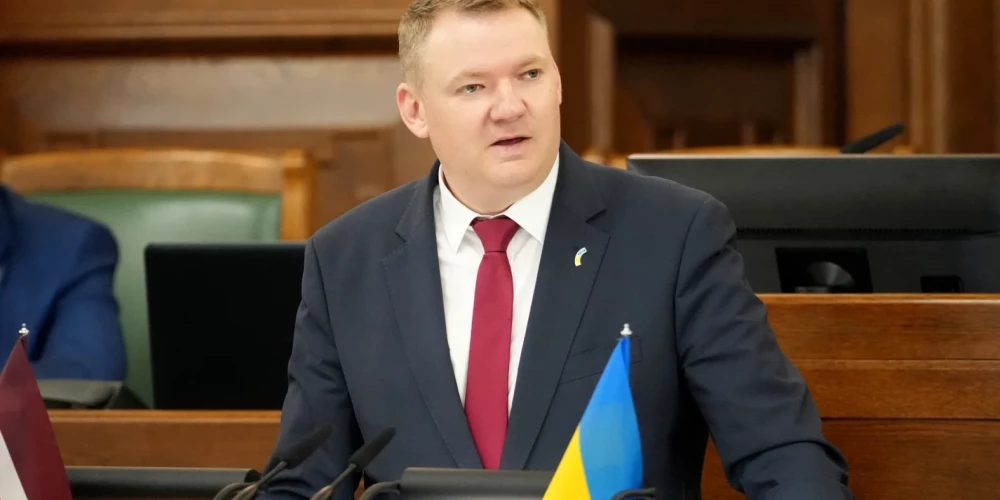 Смилтенс: вопрос о Стамбульской конвенции нужно вынести на референдум