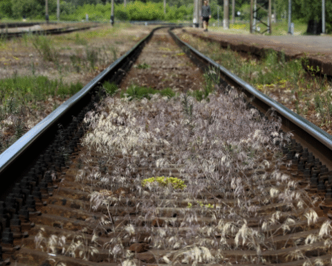 Смит призывает Латвию ликвидировать железнодорожные пути широкой колеи вдоль границы с Россией