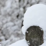 Снегопад ожидается в Латвии: снежный покров вырастет до 9 см ночью