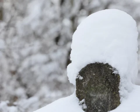 Снегопад ожидается в Латвии: снежный покров вырастет до 9 см ночью