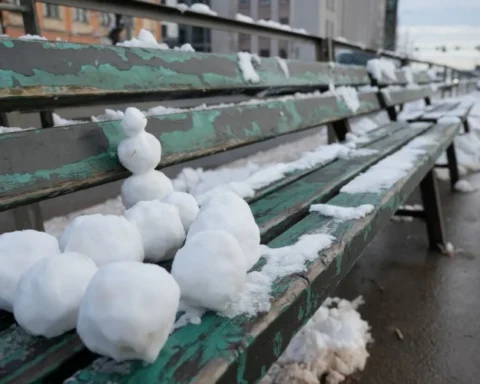 Уборка снега в Риге стартовала в 6 утра, власти призывают соблюдать осторожность