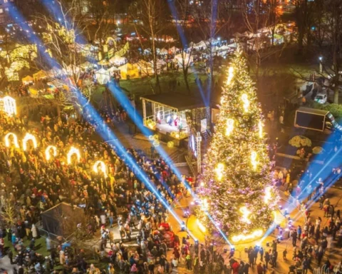 В Елгаве зажгут 18-метровую елку, обсуждают её конструкцию и ярмарку