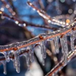 В Латвии из-за опасной погоды опубликовано экстренное предупреждение для жителей