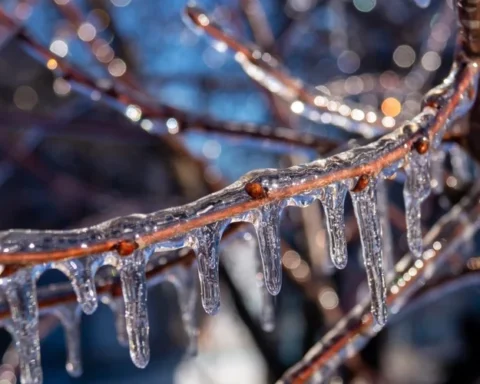 В Латвии из-за опасной погоды опубликовано экстренное предупреждение для жителей