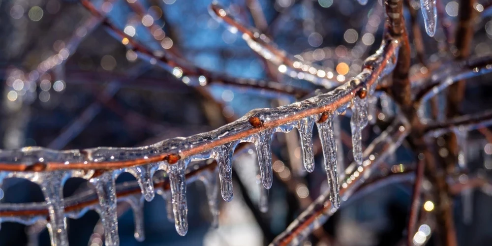 В Латвии из-за опасной погоды опубликовано экстренное предупреждение для жителей