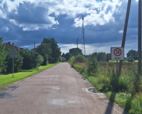 В Огрском крае обсуждают переименование улицы Пионеров против центра госязыка