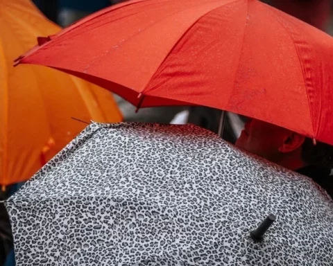 В понедельник ожидаются дожди и похолодание до +2...+6 градусов