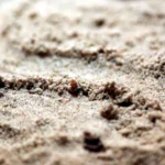 В Риге начнётся раздача песка: адреса пунктов выдачи