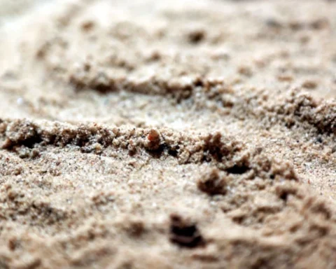 В Риге начнётся раздача песка: адреса пунктов выдачи