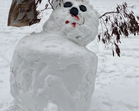 В Риге в ноябре 2025 года дождливые дни contrastируют с зимней погодой 2023 года