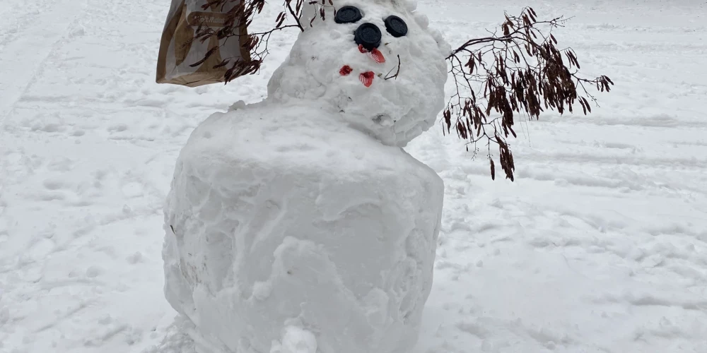 В Риге в ноябре 2025 года дождливые дни contrastируют с зимней погодой 2023 года