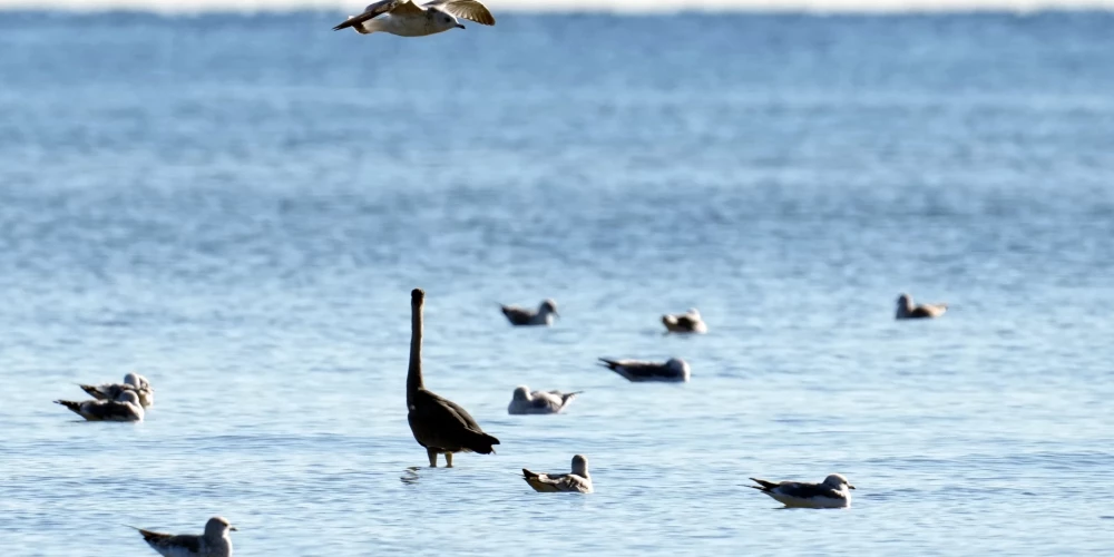 В Риге во вторник без осадков, температура до -2 градусов