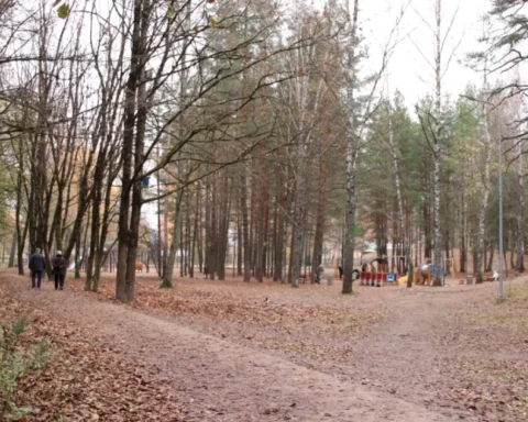 В Риге завтра ожидается дождливая погода с облачными skies, температура до +13 градусов