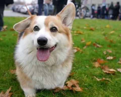 В воскресенье в Латвии облачная погода с осадками и гололедицей