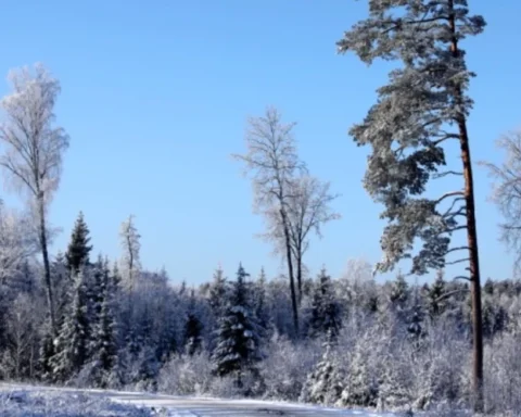 В воскресенье в Латвии ожидается переменная облачность и гололед на дорогах