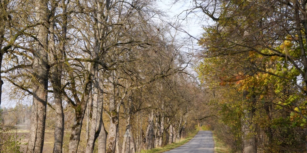 В воскресенье в Латвии ожидается потепление до +6 градусов с возможными осадками