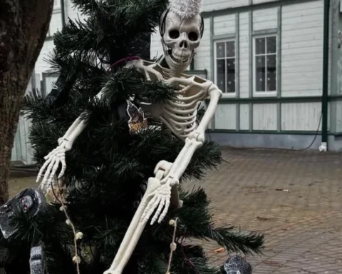 В Юрмале открыли рождественскую елку и новую "Аллею елочек"