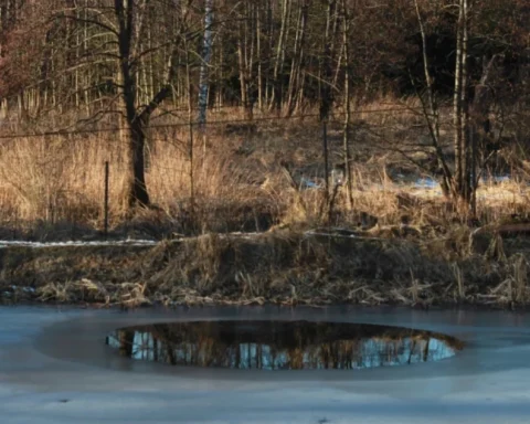 Юрмальская дума ввела запрет на выход на лед водоемов города