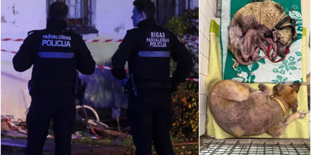 Защитники животных критикуют действия рижской полиции после случая с больной собакой