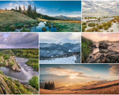 Российские власти открывают путь к пересмотру охранного статуса заповедных территорий