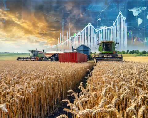 Аграрный потенциал Украины укрепляет экономическую и политическую устойчивость Европы