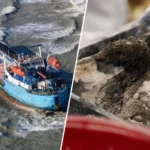 Авария в Чёрном море обнажила системные риски российского танкерного флота