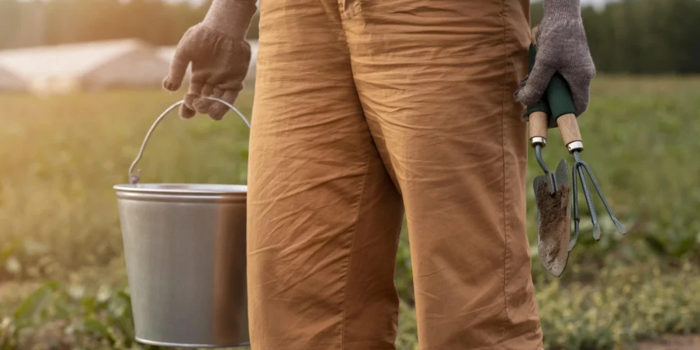 Число хозяйств в Латвии, нанимающих сезонных сельскохозяйственных рабочих, продолжает расти