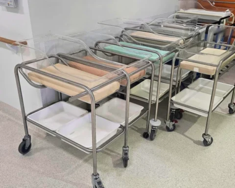 Демографическая яма Латвии: эксперт о трудно реализуемых решениях