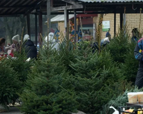 День Рождества в Латвии: пасмурно с прояснениями на западе, ожидаются осадки на востоке