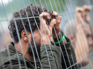 Депортация студентов из Германии: власти не признают очное обучение в Международном университете