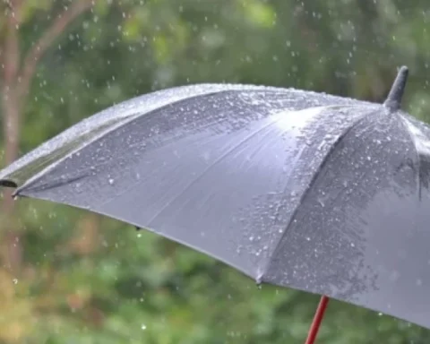 Дожди и сильный ветер ожидаются в Латвии в четверг, температура +6...+9 градусов