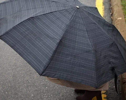 Дождливое утро и прояснение к вечеру: погода в Латвии на субботу