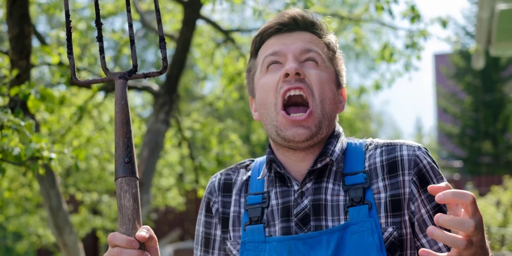 Фермеры против торговых сетей: возможные протесты с "вываливанием навоза" у магазинов