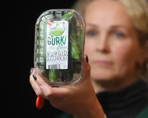 Латвийские овощи могут расти зимой, но необходима поддержка местного рынка