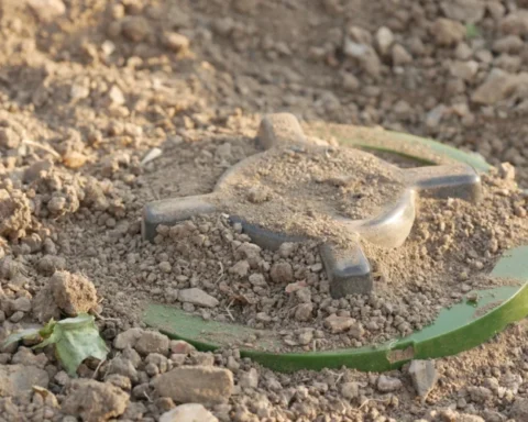 Латвия отменяет запрет на использование противопехотных мин с 27 декабря 2025 года