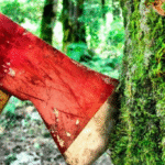 Латвия подписала конвенцию Совета Европы по охране окружающей среды