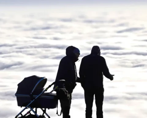 Облачная пятница: в Латвии ожидаются туман и дожди, температура до +5 градусов